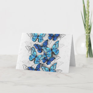 Zusammensetzung von White und Blue Butterflies Einladung