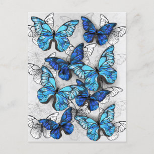 Zusammensetzung von White und Blue Butterflies Einladungspostkarte