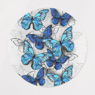 Zusammensetzung von White und Blue Butterflies Etiketten
