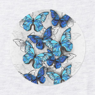 Zusammensetzung von White und Blue Butterflies Etiketten