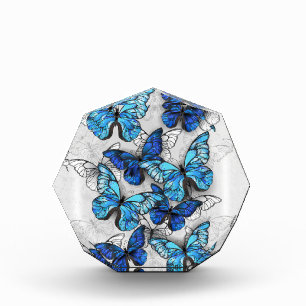 Zusammensetzung von White und Blue Butterflies Fotoblock