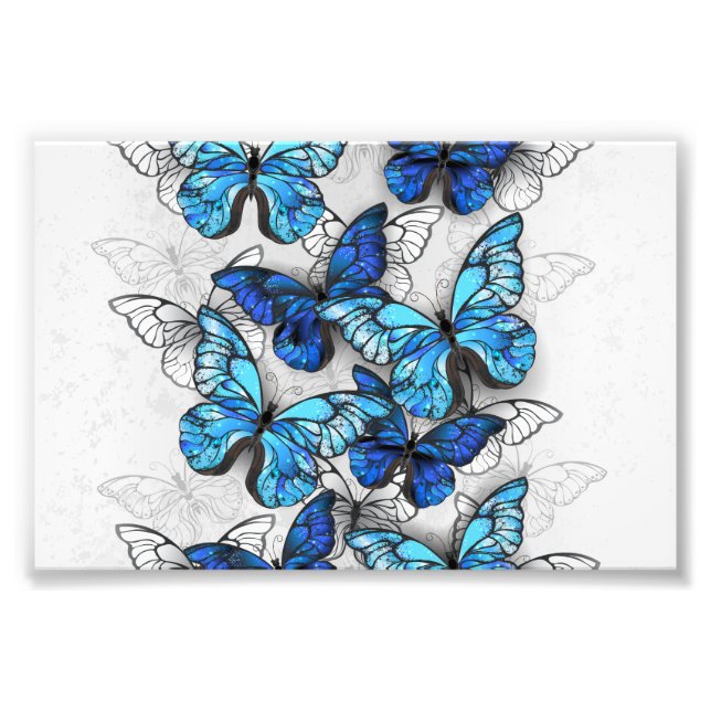 Zusammensetzung von White und Blue Butterflies Fotodruck (Vorne)