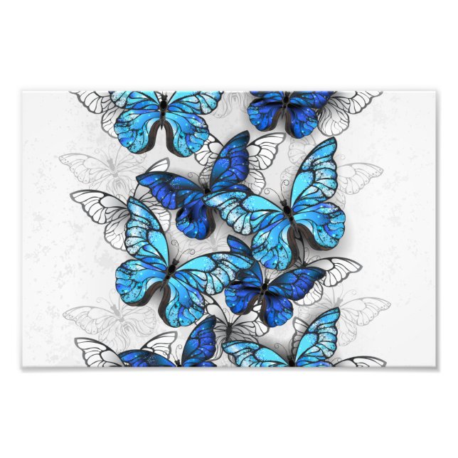 Zusammensetzung von White und Blue Butterflies Fotodruck (Vorne)