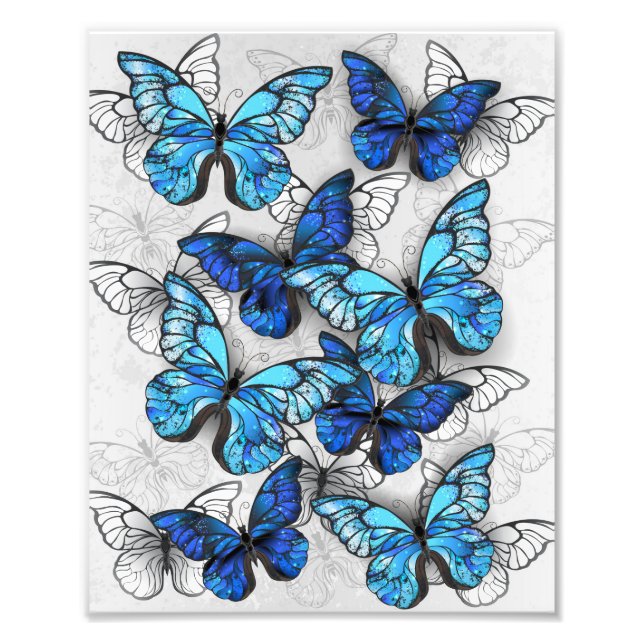 Zusammensetzung von White und Blue Butterflies Fotodruck (Vorne)