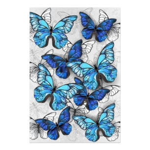 Zusammensetzung von White und Blue Butterflies Fotodruck