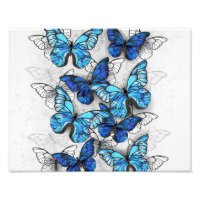 Zusammensetzung von White und Blue Butterflies