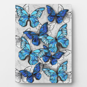 Zusammensetzung von White und Blue Butterflies Fotoplatte