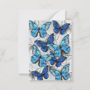 Zusammensetzung von White und Blue Butterflies Hinweiskarte
