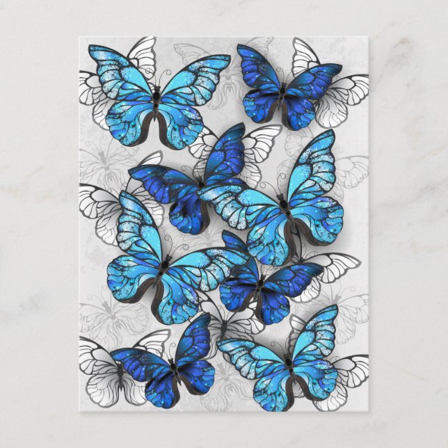 Zusammensetzung von White und Blue Butterflies Hinweiskarte (Vorderseite)
