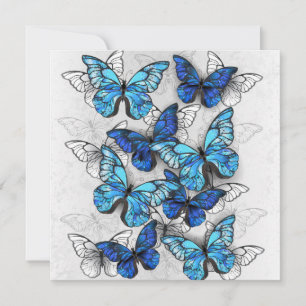 Zusammensetzung von White und Blue Butterflies Hinweiskarte