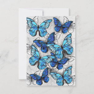 Zusammensetzung von White und Blue Butterflies Karte