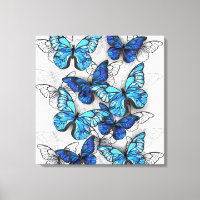 Zusammensetzung von White und Blue Butterflies