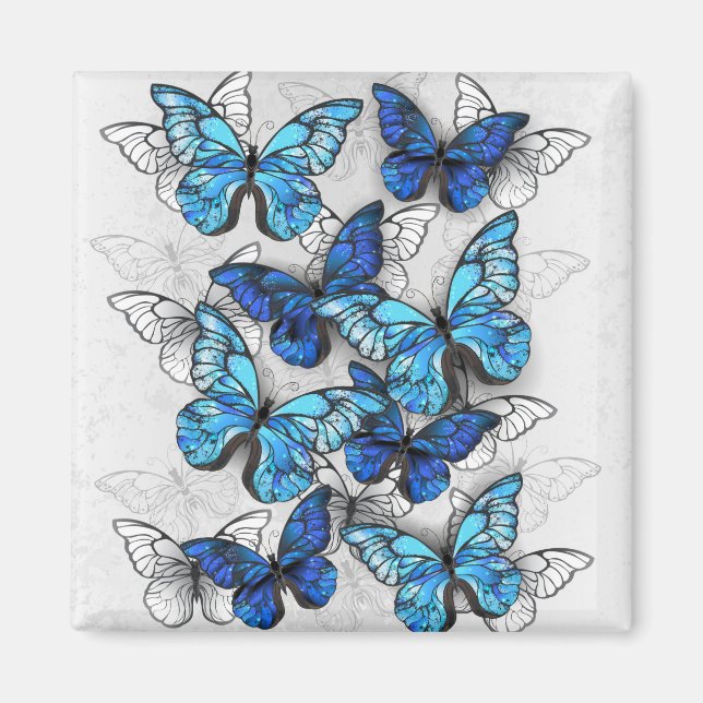 Zusammensetzung von White und Blue Butterflies Magnet (Vorne)