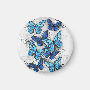 Zusammensetzung von White und Blue Butterflies Magnet