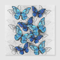 Zusammensetzung von White und Blue Butterflies