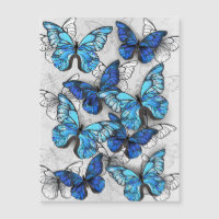 Zusammensetzung von White und Blue Butterflies