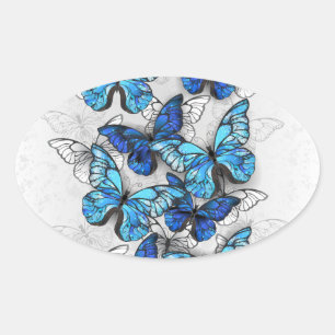Zusammensetzung von White und Blue Butterflies Ovaler Aufkleber