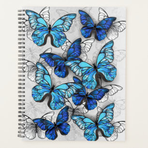 Zusammensetzung von White und Blue Butterflies Planer