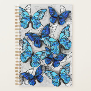 Zusammensetzung von White und Blue Butterflies Planer
