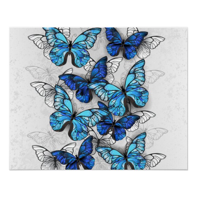 Zusammensetzung von White und Blue Butterflies Poster (Vorderseite)