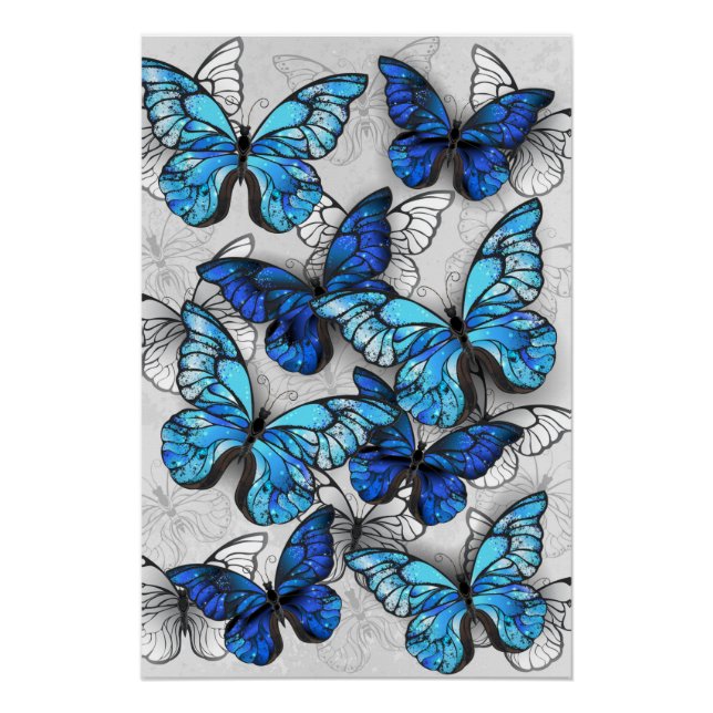 Zusammensetzung von White und Blue Butterflies Poster (Vorderseite)