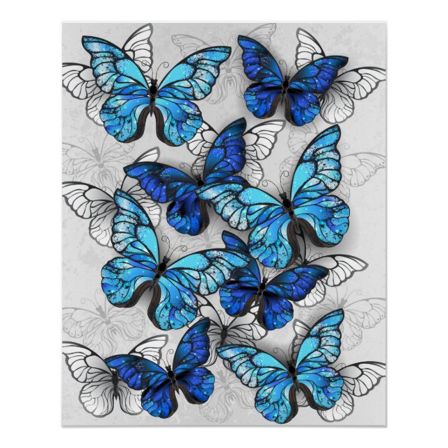 Zusammensetzung von White und Blue Butterflies Poster (Vorderseite)