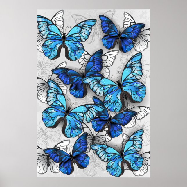 Zusammensetzung von White und Blue Butterflies Poster (Vorne)