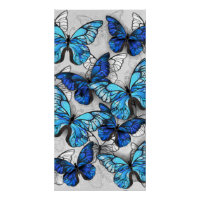 Zusammensetzung von White und Blue Butterflies