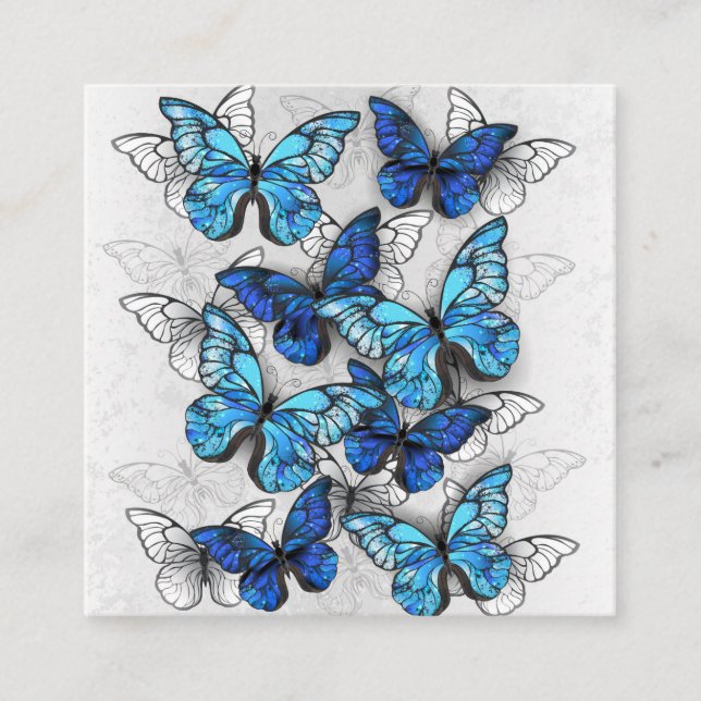 Zusammensetzung von White und Blue Butterflies Quadratische Visitenkarte (Vorderseite)