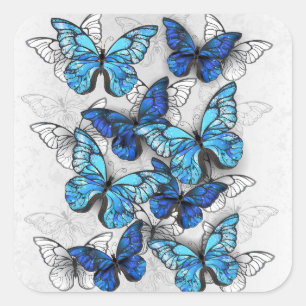 Zusammensetzung von White und Blue Butterflies Quadratischer Aufkleber
