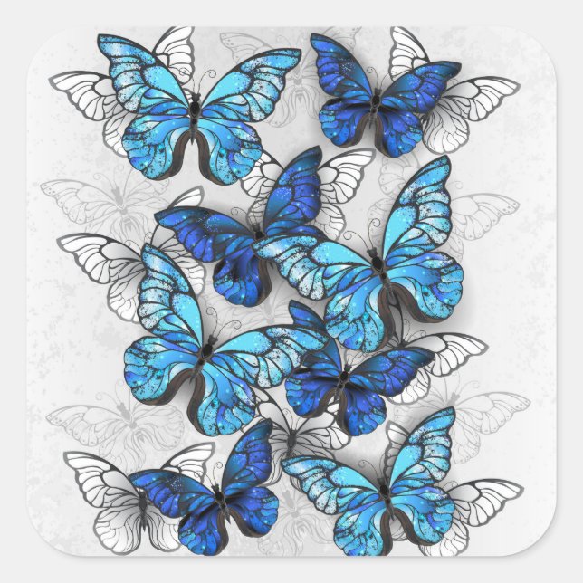 Zusammensetzung von White und Blue Butterflies Quadratischer Aufkleber (Vorderseite)