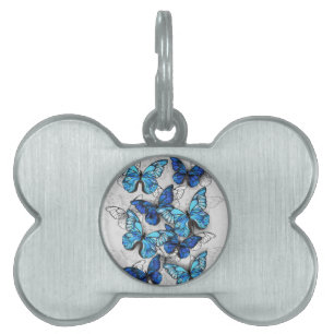 Zusammensetzung von White und Blue Butterflies Tiermarke
