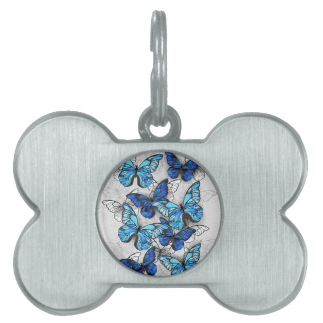 Zusammensetzung von White und Blue Butterflies Tiermarke (Vorderseite)