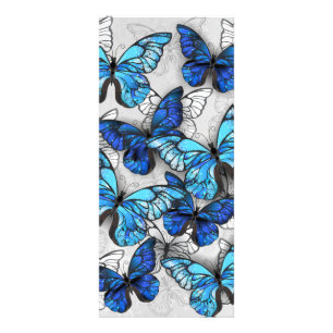 Zusammensetzung von White und Blue Butterflies Werbekarte