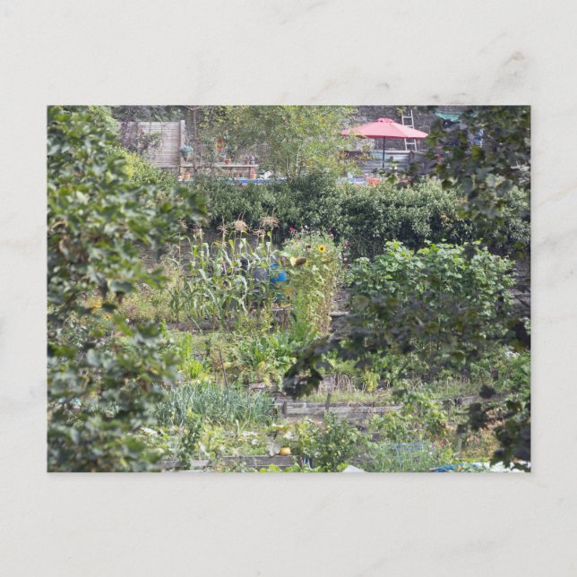 Zuteilungen an der Hebdenbrücke Postkarte (Vorderseite)