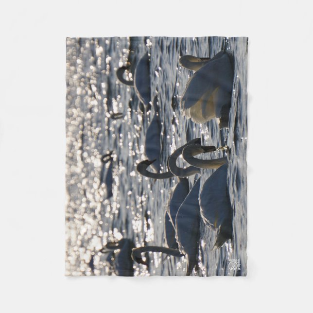 Zwanen in een groep op het water met glinsterend z fleecedecke (Vorderseite)