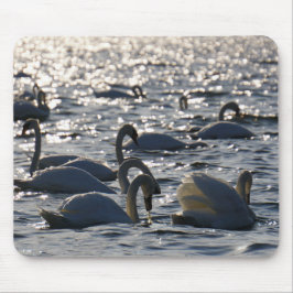 Zwanen in een groep op het water met glinsterend z mousepad