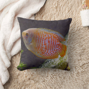 Zwarf Gourami Fish Kissen