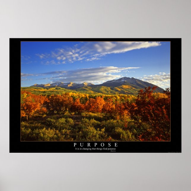 Zweck Poster (Vorne)