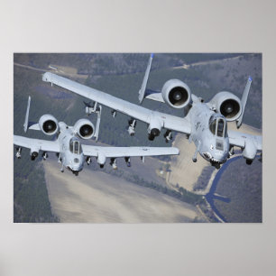 Zwei A-10C-Thunderbolzen II fliegen formatgenau Poster