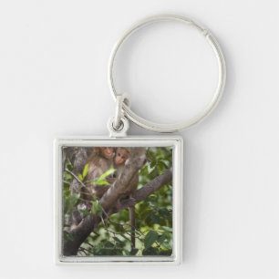 Zwei Affen in einem Baum Schlüsselanhänger