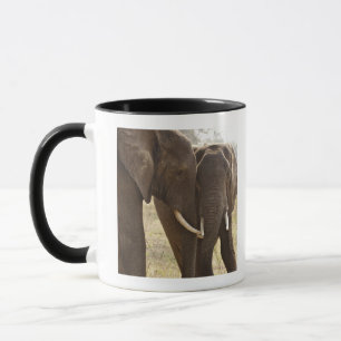 Zwei Afrikaner-Bush-Elefanten (Loxodonta Africana) Tasse