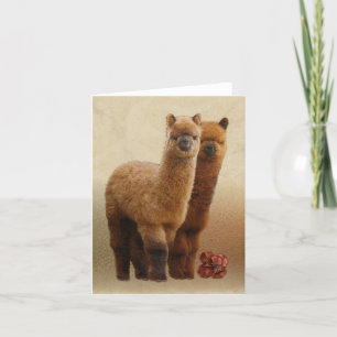 Zwei Alpacas-Note-Karten Karte