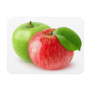 Zwei Äpfel Magnet