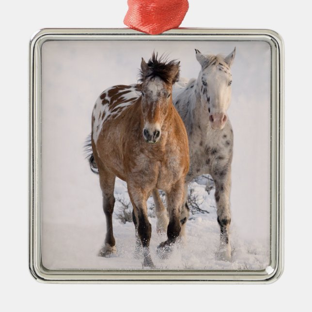 Zwei Appaloosas - Pferdeverzierungen Ornament Aus Metall (Vorne)