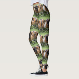 Zwei Baby Tortoiseshell Guinea Schweine, Leggings