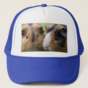 Zwei Baby Tortoiseshell Guinea Schweine, Truckerkappe