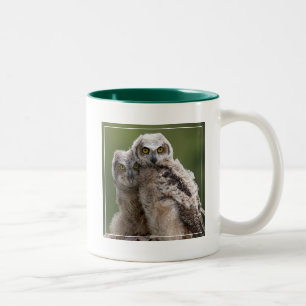 Zwei Baby-Virginia-Uhus Zweifarbige Tasse