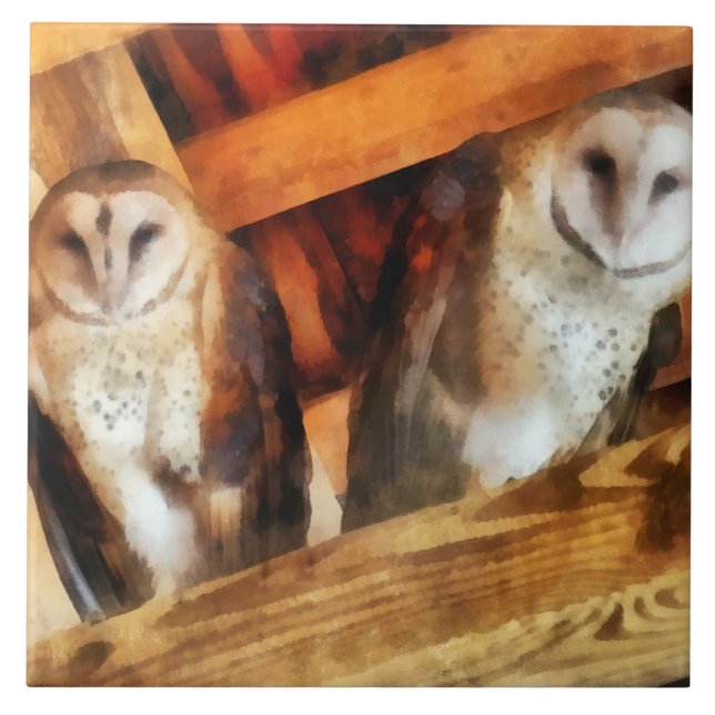 Zwei Barn Owls Fliese (Vorderseite)