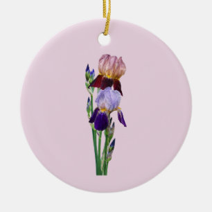 Zwei Bart-Iris Eine Marone Eine Violette Keramik Ornament